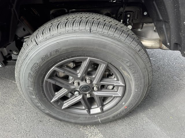 Photo 06