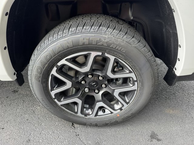 Photo 06