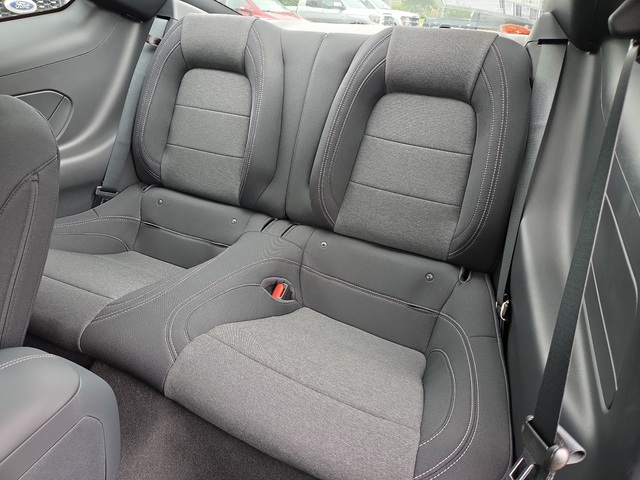 Photo 09