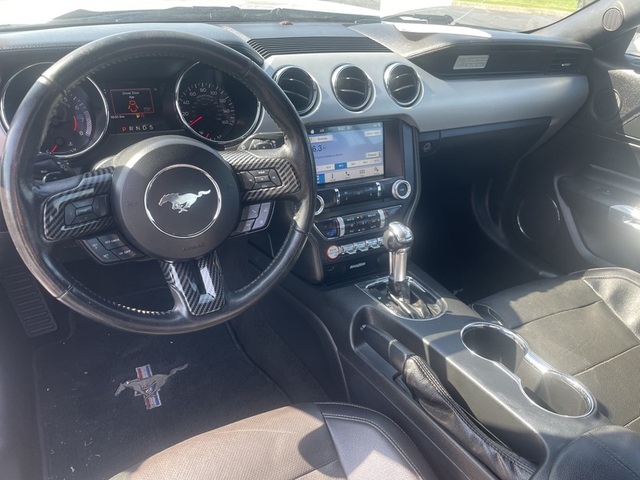 Photo 06