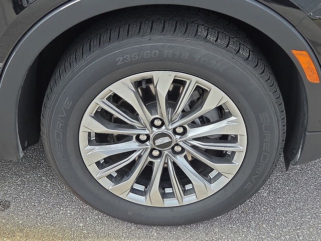 Photo 06