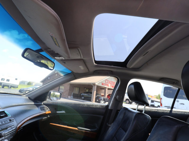 Photo 07