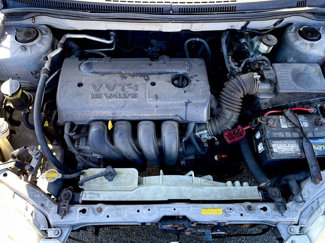 Photo 07