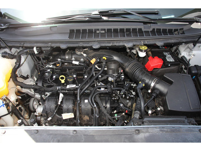 Photo 20