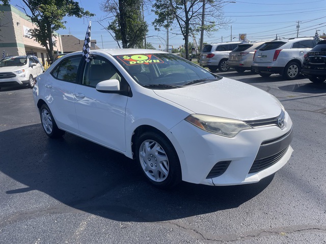 Photos