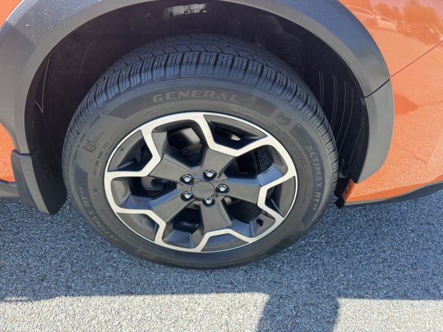 Photo 09