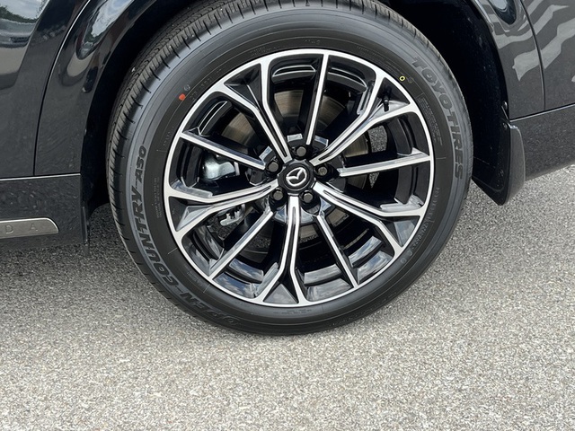 Photo 08