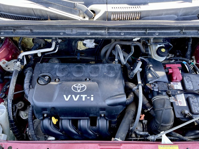 Photo 07